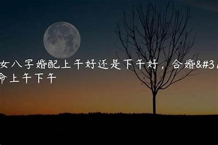 八字走养运是什么意思