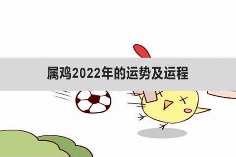 属鸡2022年的运势怎么样