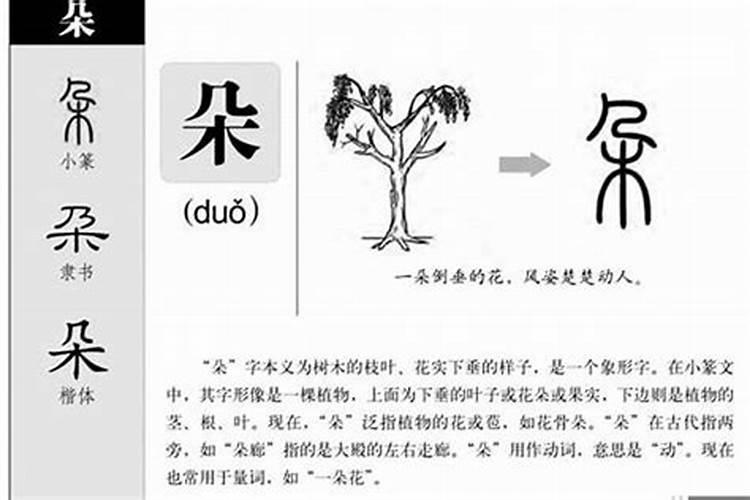 华这个字五行属什么意思