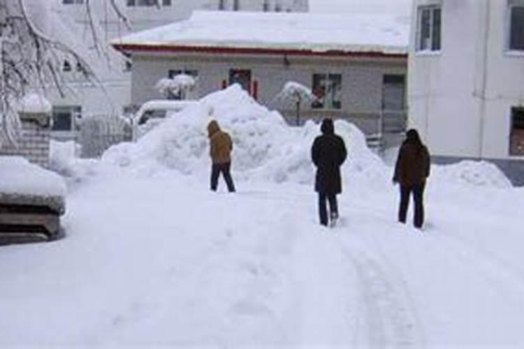 梦见下大雪滑倒路面