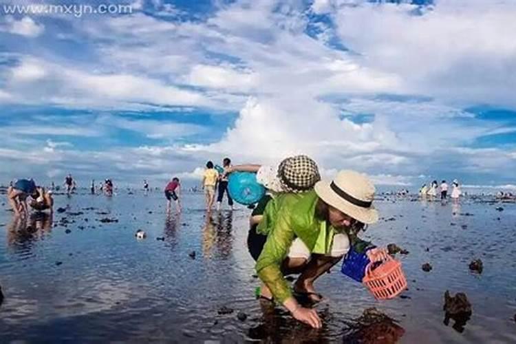 梦到去海边赶海捡到很多海货