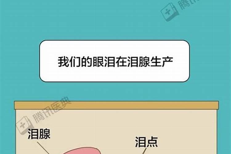 双子座爱不爱哭泣