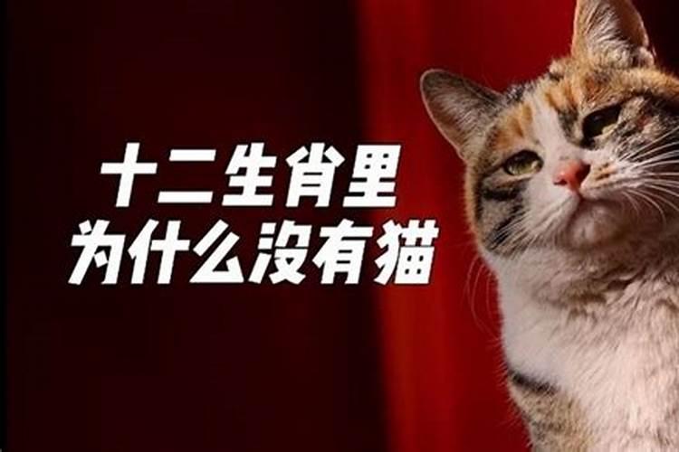 十二生肖中为什么没有猫答案是什么