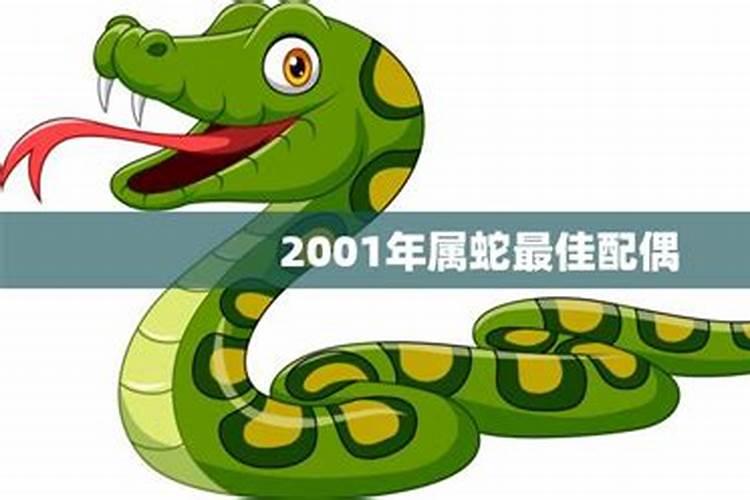 2001年男属蛇最佳配偶属相