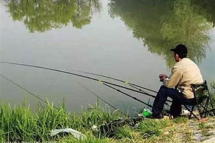 梦见别人钓鱼是什么意思自己抓到一条鱼