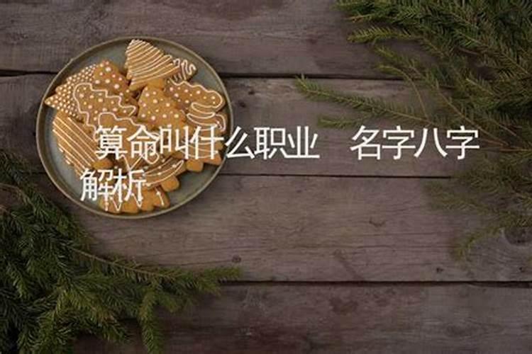 算命叫什么职业