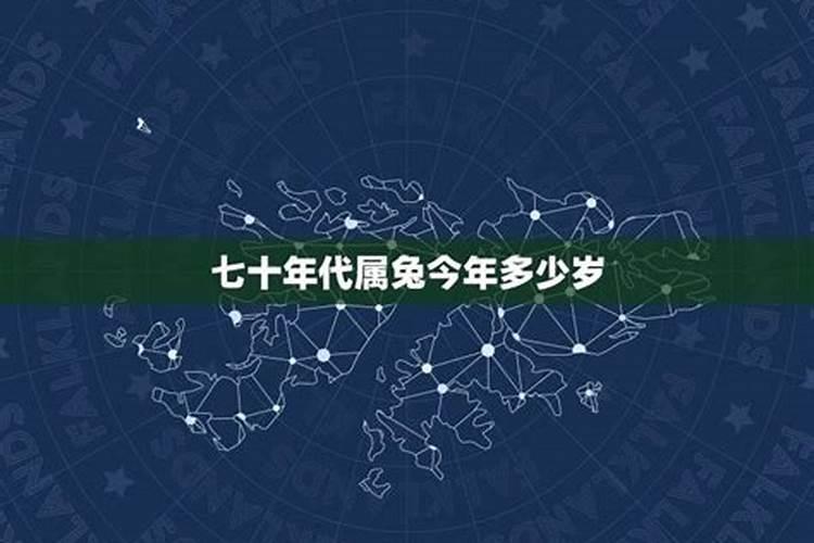 属兔子46岁今年什么命