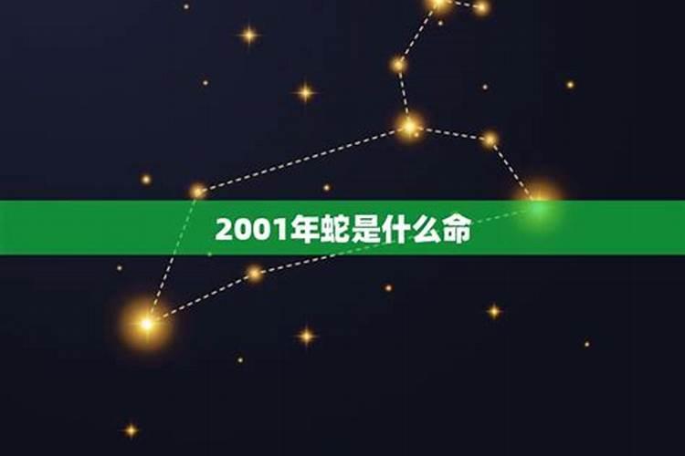 2001年属蛇五行是什么