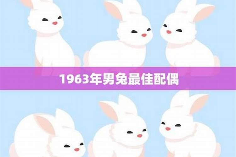 1963年兔2021年运势男