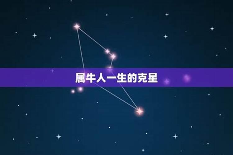 2009属牛的是什么星座的