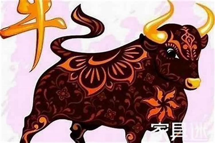 属牛今年多大的今年多大岁数