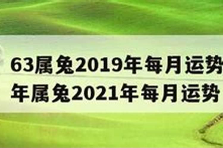 63年兔2019年运势如何