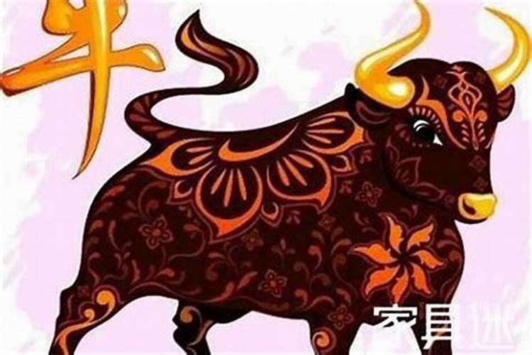 属牛的今年多少岁2021