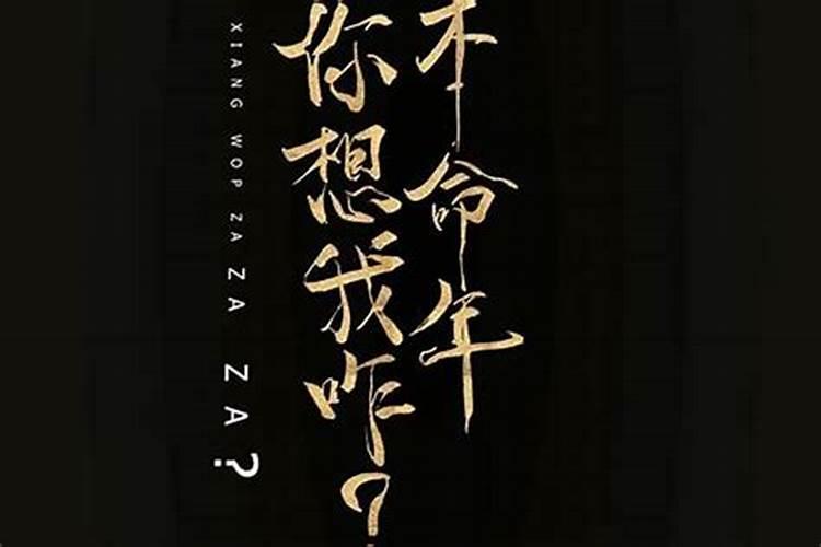 农历2003年12月23日是什么星座