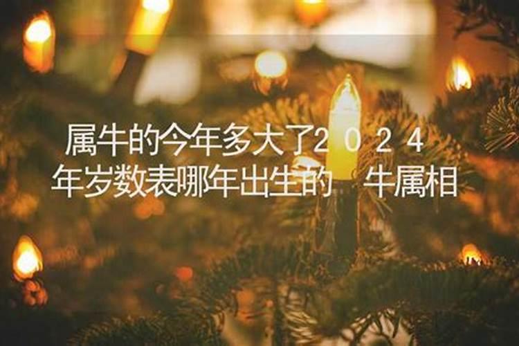 今年属牛的今年多大岁数