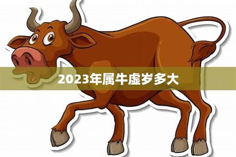 2021年属牛的虚岁今年多大