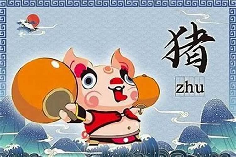 71属猪的是什么星座