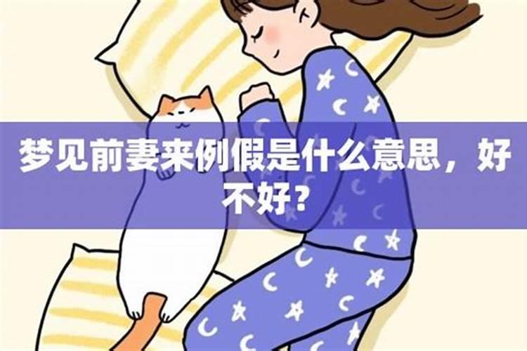 属龙的今年兔运程如何