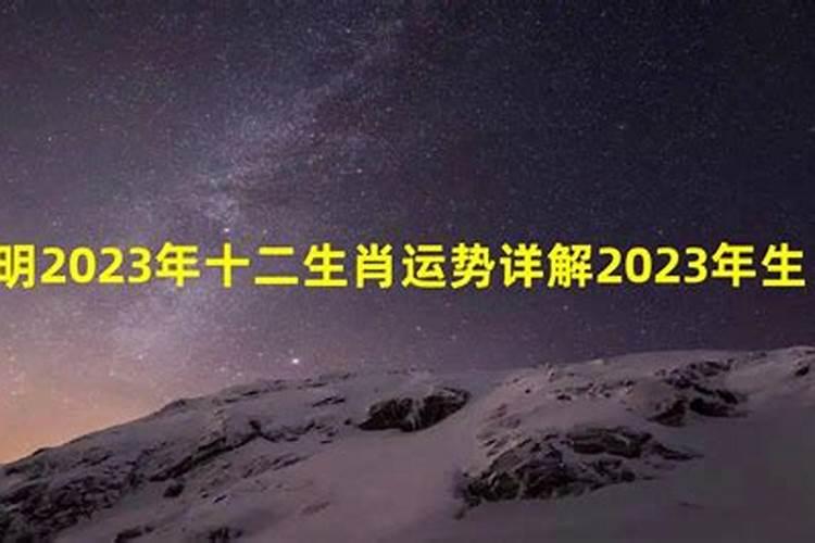 2023年12生肖运势解析