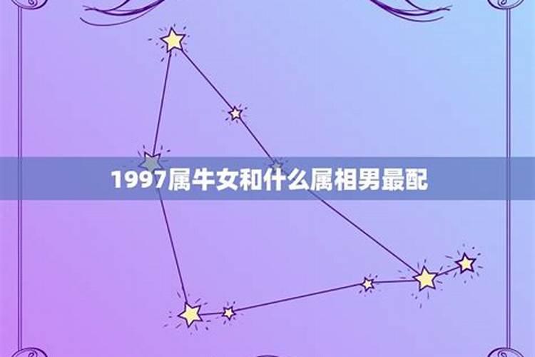 属牛是1997年属什么