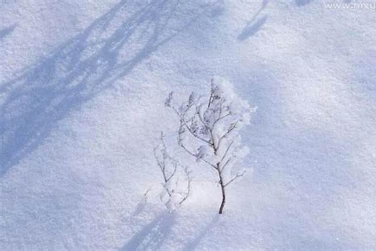 梦到地上有雪很滑