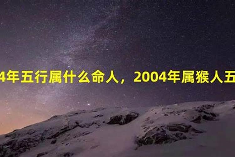 2004年属于什么命五行