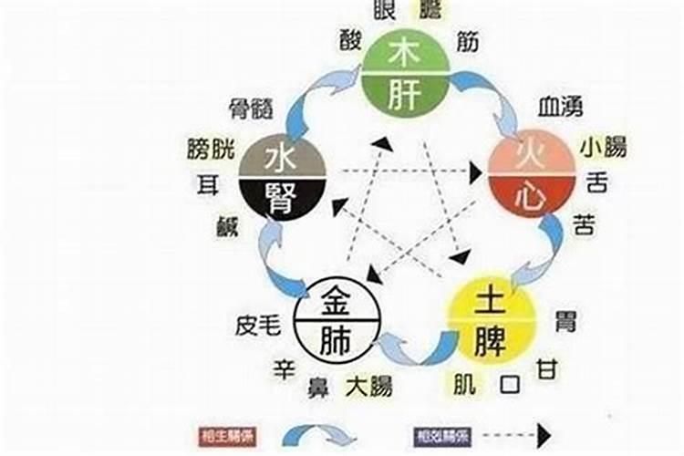 菲字在五行中属什么属性