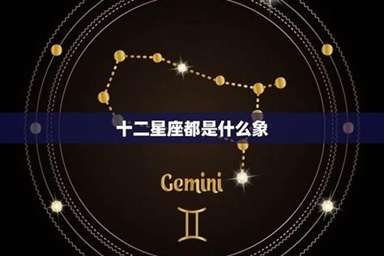 土象星座都是什么星座