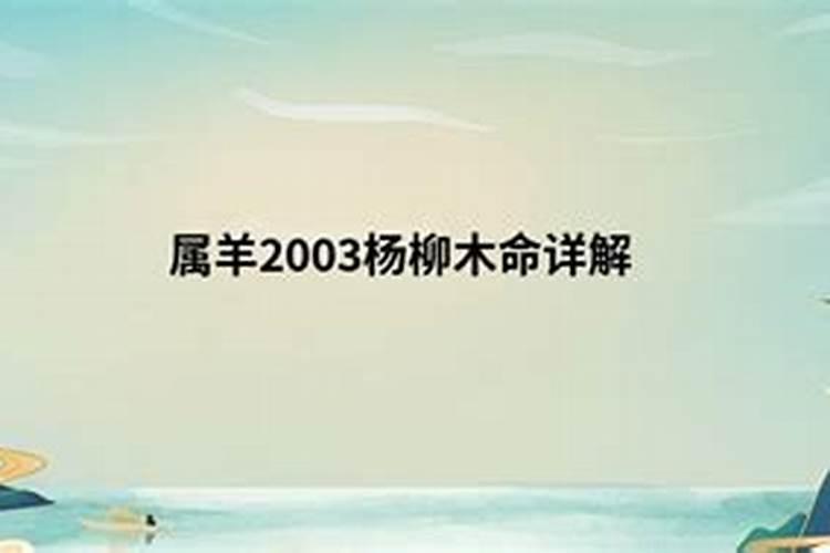 属羊2003杨柳木命详解四月