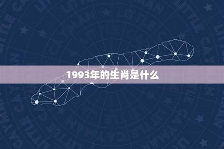 公元1993年是什么生肖