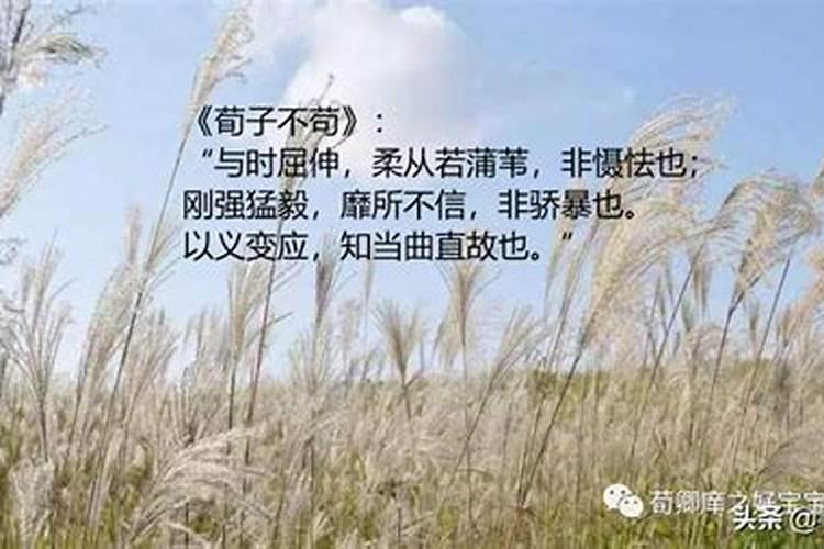 十二生肖什么动物能屈能伸