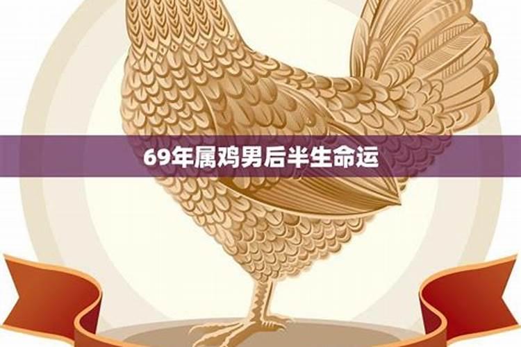 69年男属鸡运势一生运势如何看