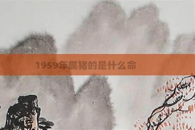 农历1959年属猪是什么命