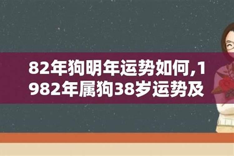 95年出生的猪女今年运势