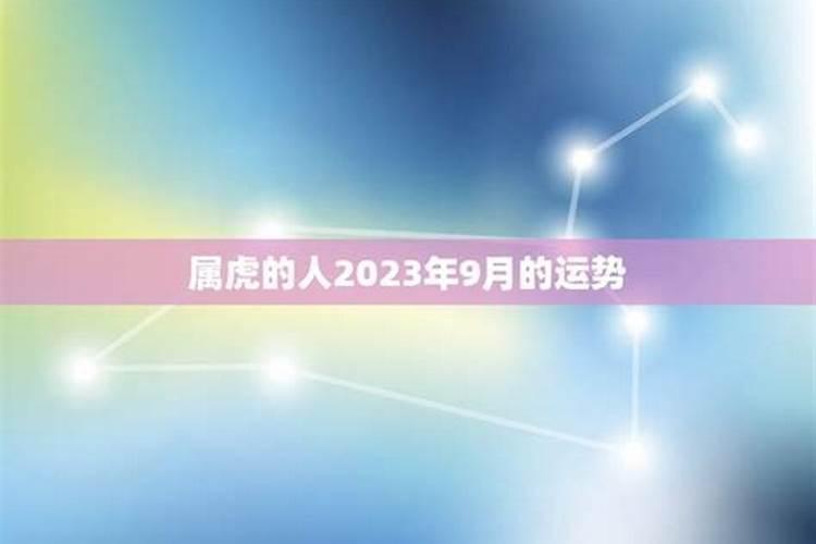 属龙男2023年运势