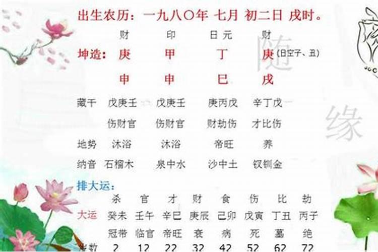 燕子飞回带春来猜生肖