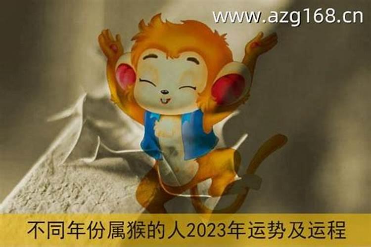 80年属猴男在2023年的全年运势