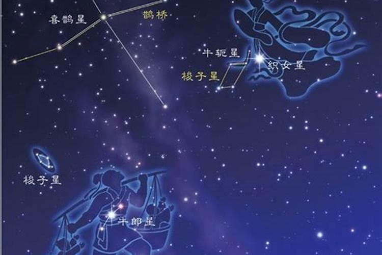 牛郎星是什么星座织女星是什么星座