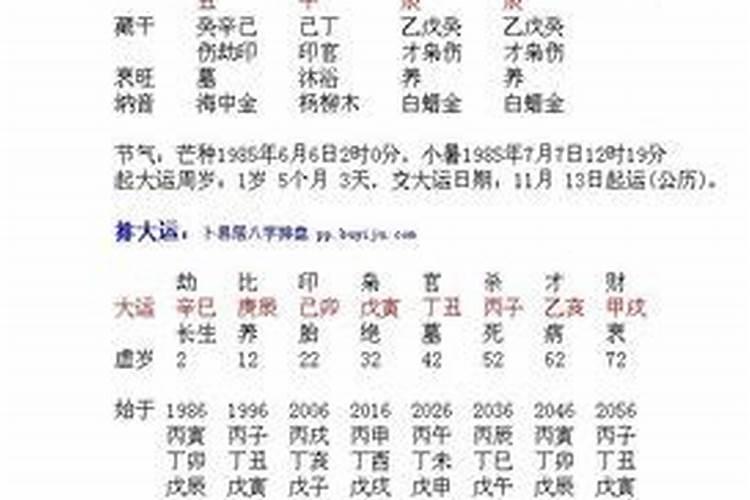 2023牛年今年运势如何