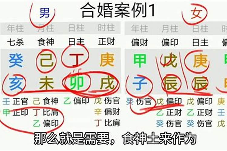 属猪男冷战怎么应对