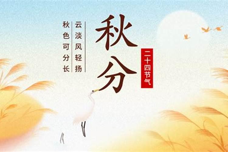 清明节祭扫烈士墓活动总结