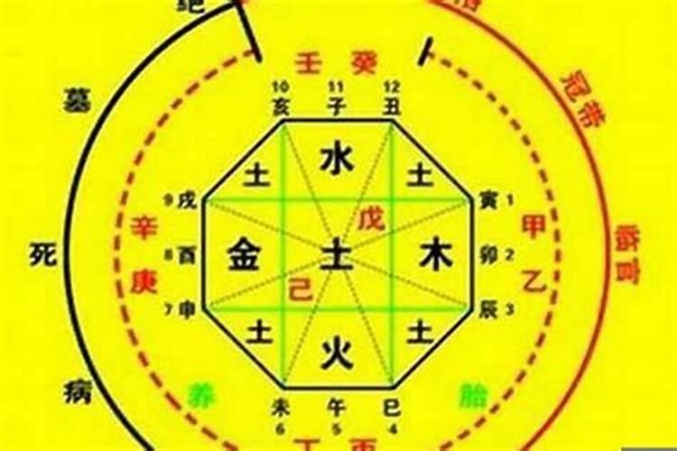 八字里面的食神是什么意思