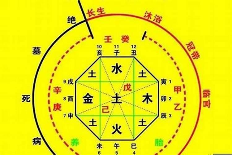 龙今年的运势如何2023正月