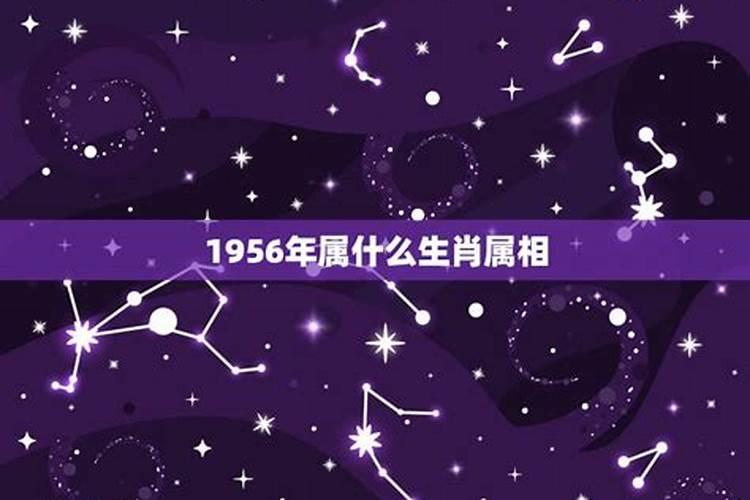 1956年属什么生肖几岁2021