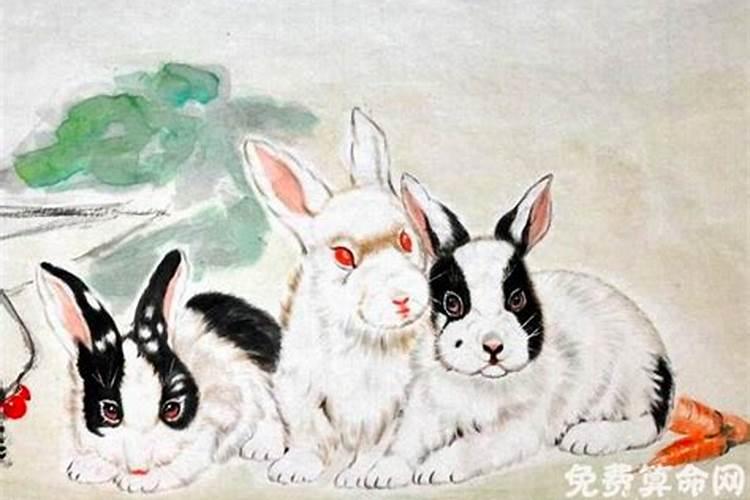 1963年出生的属兔人的月运势