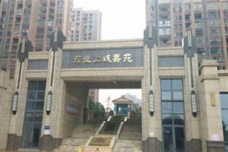 女人梦见大蛇预示着什么意思周公解梦