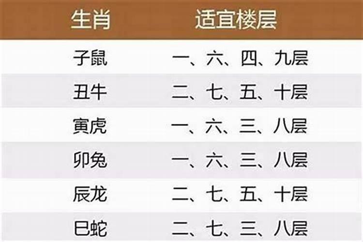 17楼五行属什么生肖