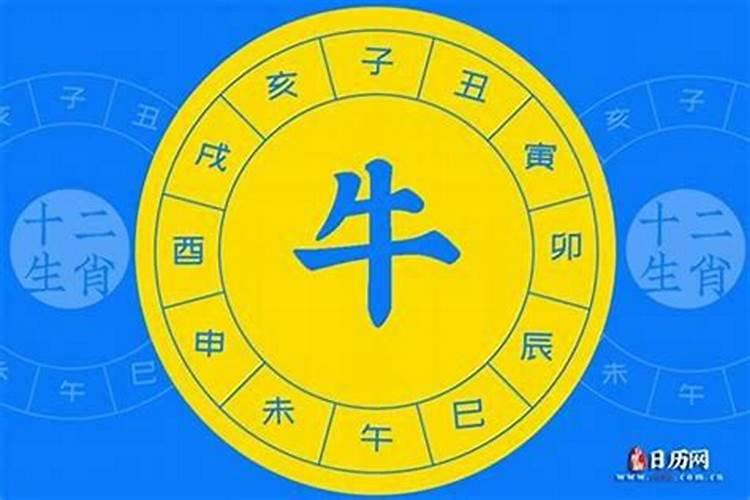 牛年生辰八字是木命49年生辰八字