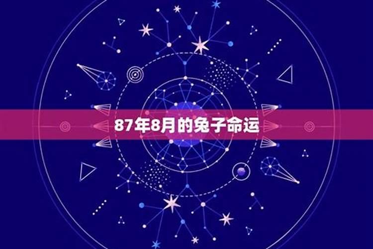 87年八月兔子命运