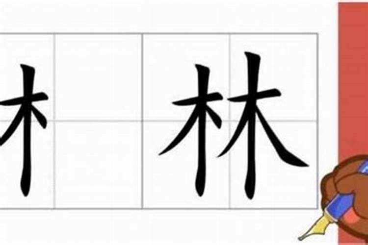 木字旁是什么生肖